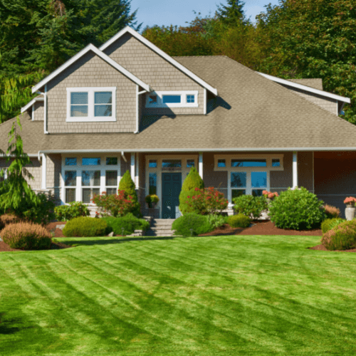 landscape designing business