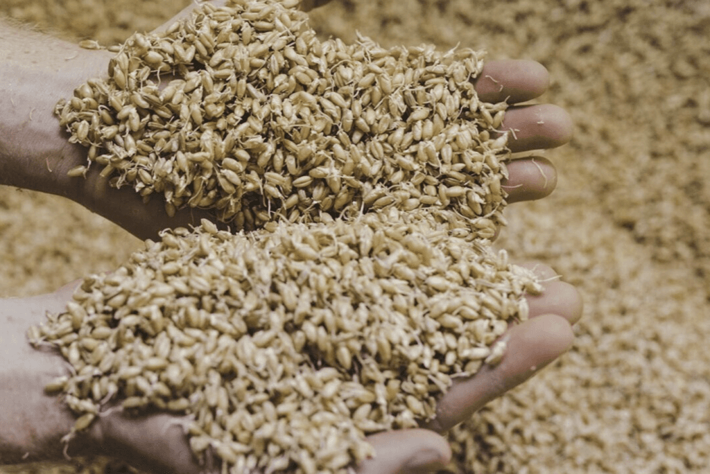 anita's organic mill