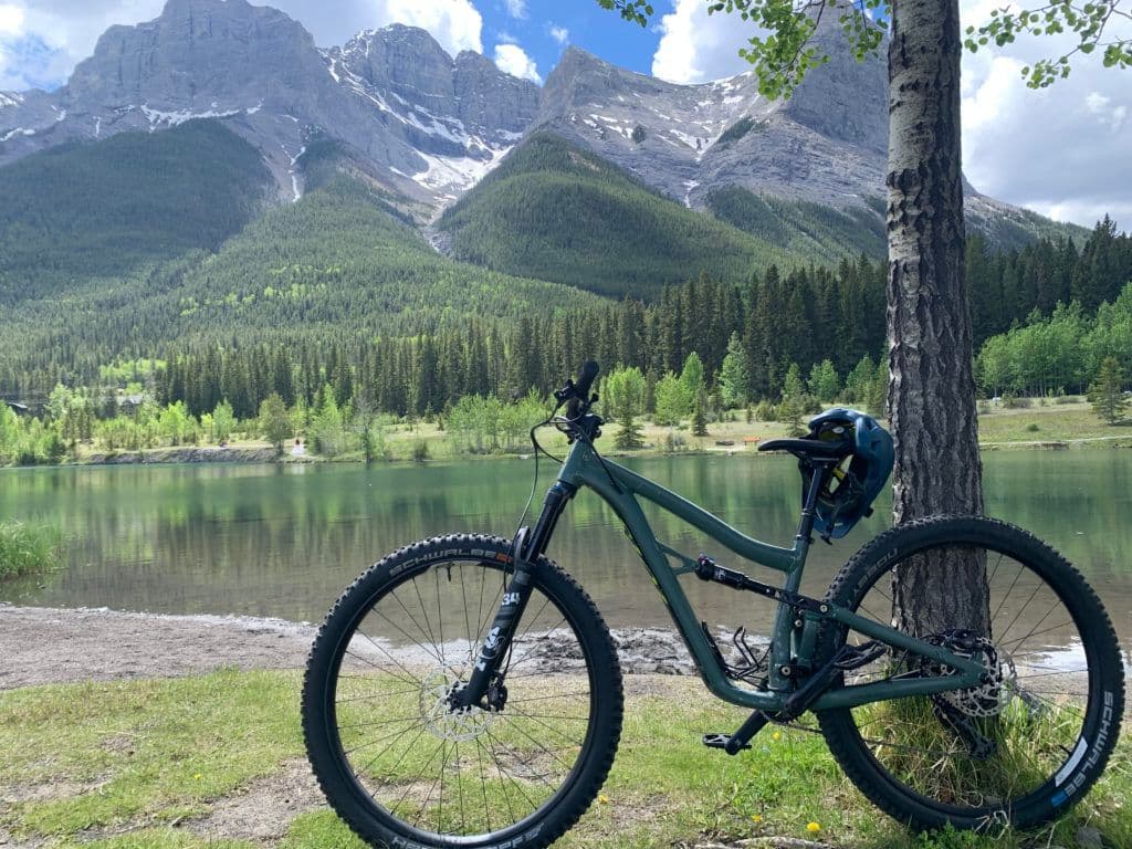 bicycle leaning on a tree with mountains in the background