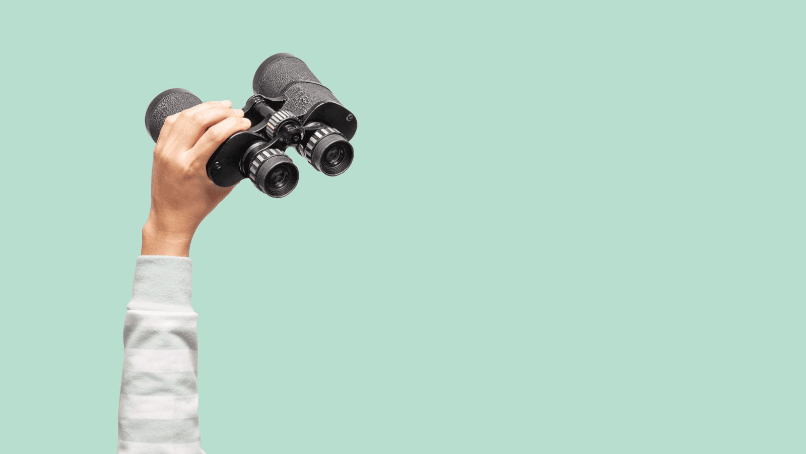 inside the search: finding that perfect business to buy